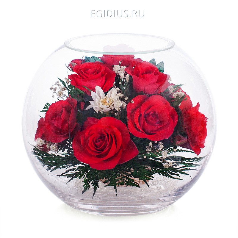 Цветы в стекле: Композиция из роз 200-163 фото 1 — Egidius.ru