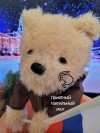 Музыкальная интерактивная поющая и танцующая мягкая игрушка Медведь-Патриот, 30 см 280-929 фото 5 — Egidius.ru