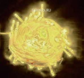 Светов. Украшение гирлянда 5м х 100 диодов, режим мигания (цвет- теплый белый) 10-4007 фото 1 — Egidius.ru