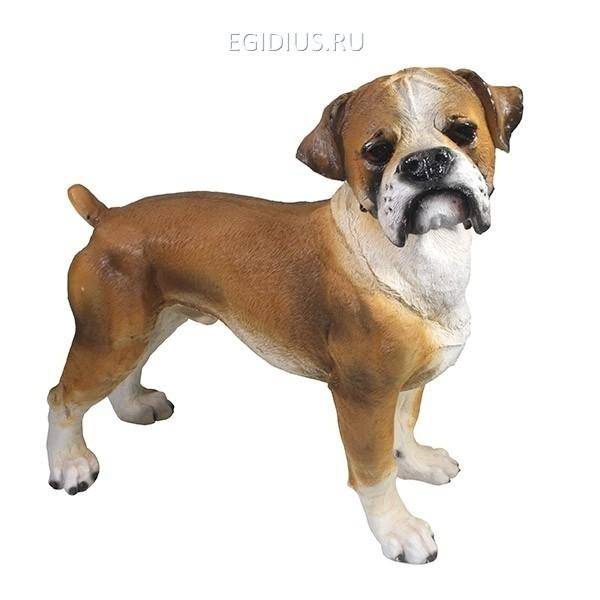 Фигура садовая "Большой боксер" L33W16Н30 см 81-6617 фото 1 — Egidius.ru