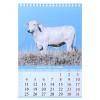 Настенные календари на 2021 год "Символ года бык. Вид 2" 17х25 см, 813-404 фото 2 &mdash; Egidius.ru