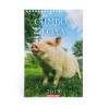 Календарь перекидной, пружина "Символ года - 2" 2019 год, 17х25см  813-036 фото 1 — Egidius.ru