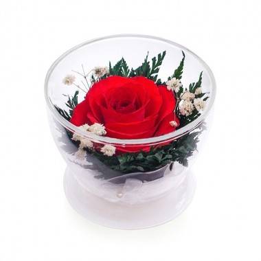 Цветы в стекле: Композиция из красной розы  200-096 — Egidius.ru