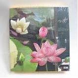 Фотоальбом 500 страниц( 10*15), L31W34H5 См, 2в. 81-0284 — Egidius.ru