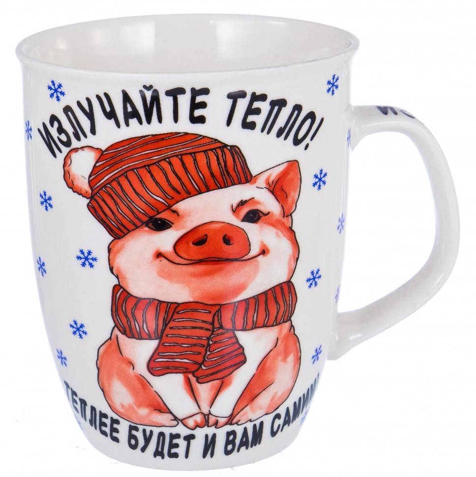 Кружка 350мл "Излучайте тепло" символ 2019 года 910-025 фото 1 — Egidius.ru
