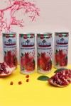 Негазированный фруктовый сокосодержащий напиток Golshan Гранат с кусочками граната и алоэ вера 4 банки по 240 мл Иран 5-0-009 фото 2 — Egidius.ru