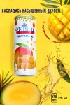 Негазированный фруктовый сокосодержащий напиток Golshan Манго с кусочками персика и манго 4 банки по 240 мл 5-0-011 фото 1 &mdash; Egidius.ru