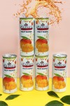 Негазированный фруктовый сокосодержащий напиток Golshan Манго с кусочками персика и манго 6 банок по 240 мл 5-0-012 фото 2 — Egidius.ru