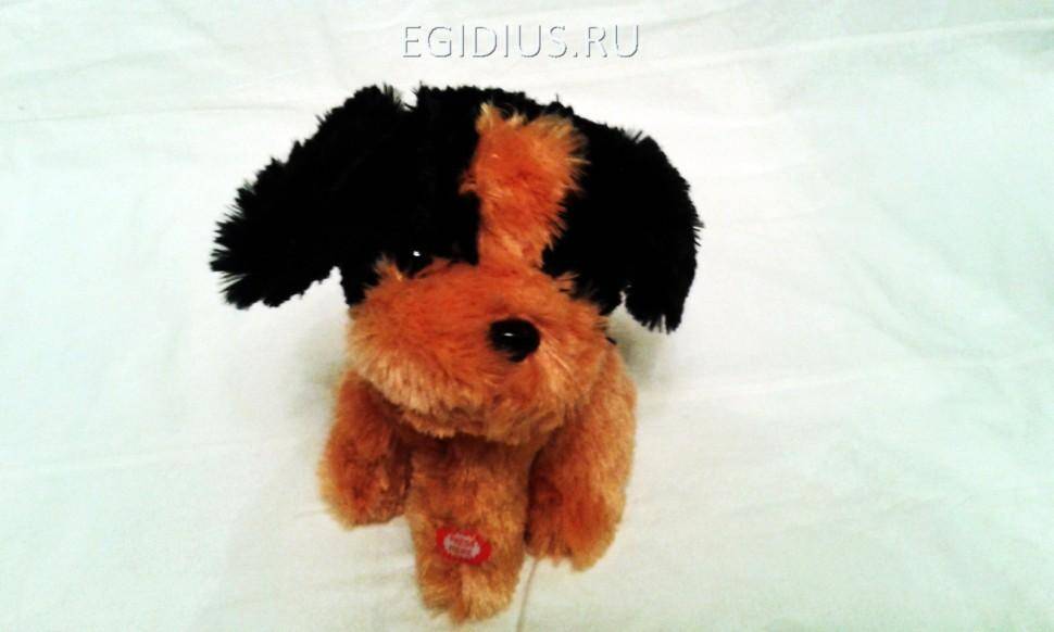 Поющая и танцующая игрушка "Собачка вьюн"  280-807 фото 1 — Egidius.ru