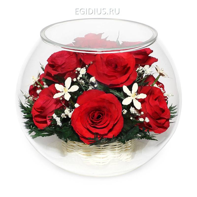Цветы в стекле: Композиция из красных роз  200-099 фото 1 — Egidius.ru
