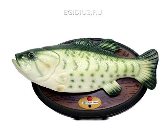 Поющая игрушка: Веселый Карп 30 см                  500-040 фото 1 — Egidius.ru