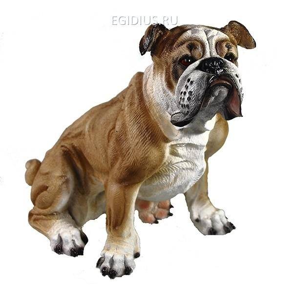 Фигура садовая "Бульдог" L34*W21*H28см 81-6625 фото 1 — Egidius.ru