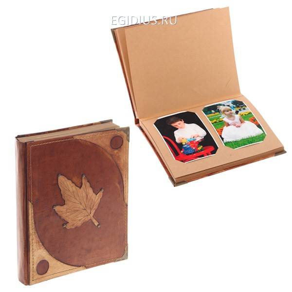 Фотоальбом "Лист" кожа на 80 фотографий 10х15 см, 40 фотографий 13х18 см или 15х21 см, L20 W25 см 81-0145 фото 1 — Egidius.ru