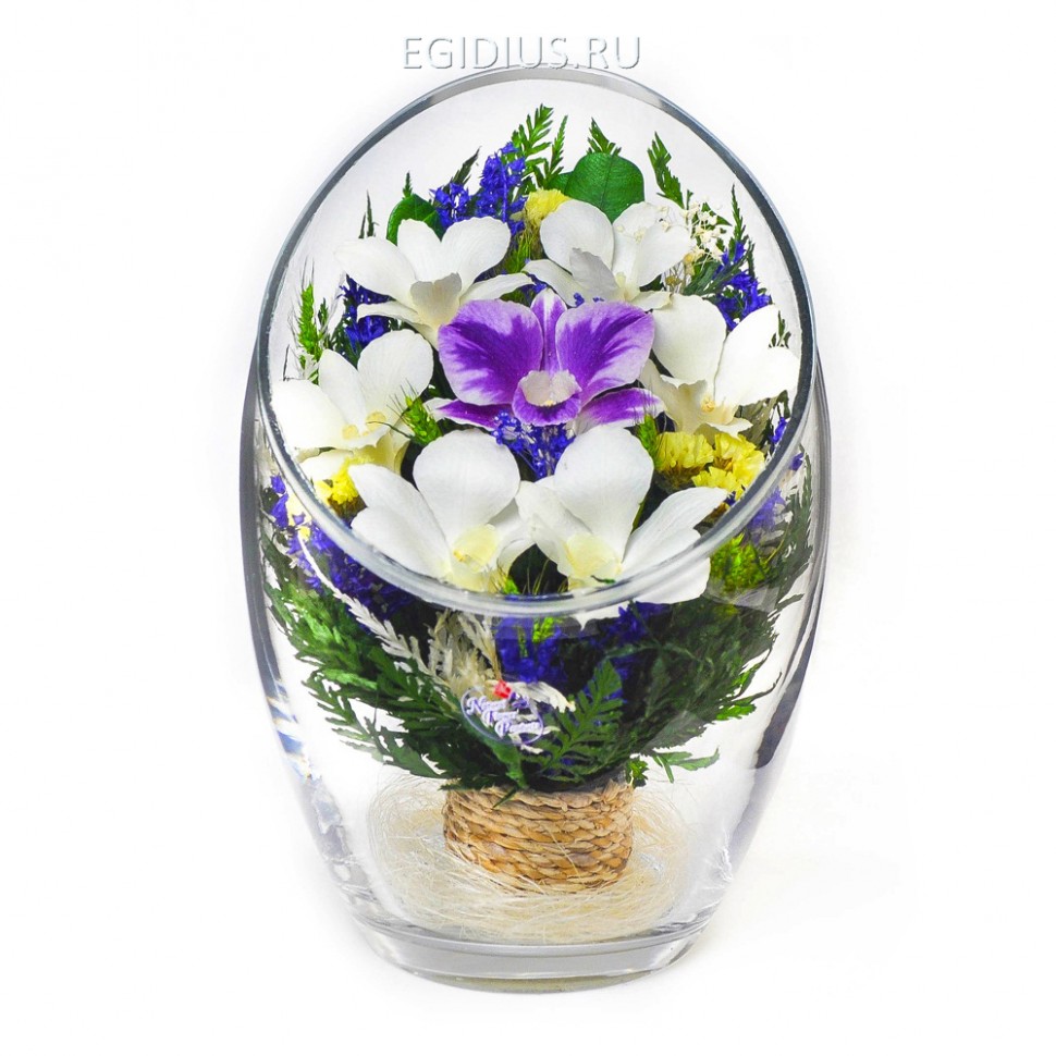 Композиция из натуральных орхидей (ArMM4) 200-189 фото 1 — Egidius.ru