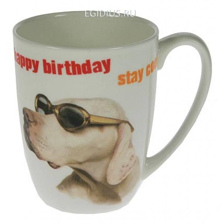 Кружка для чая в подар. коробке 111-300 фото 1 &mdash; Egidius.ru