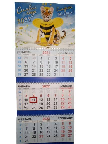 Квартальный календарь на 2022 год "Символ года - Тигр" 72,5*29,5 см 281-377 фото 1 — Egidius.ru