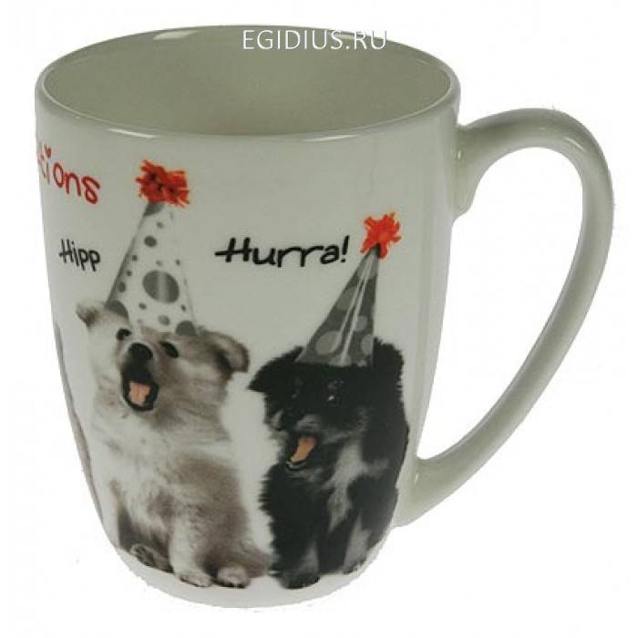 Кружка для чая в подар. коробке 111-301 фото 1 — Egidius.ru