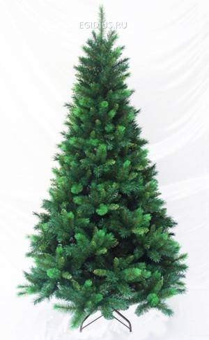 Сосна Рокки ридж с шишками Н=240см 10-3000-153 — Egidius.ru