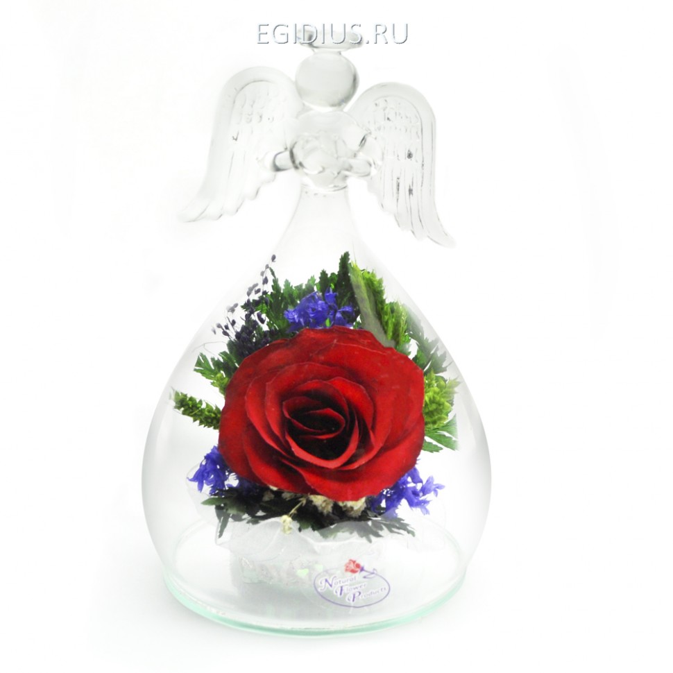 Композиция "Ангел" из натуральных роз (арт. OaSR2) в подарочной упаковке 200-357 фото 1 — Egidius.ru