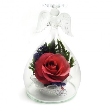 Композиция &quot;Ангел&quot; из натуральных роз (арт. OaSRp) в подарочной упаковке 200-358 — Egidius.ru