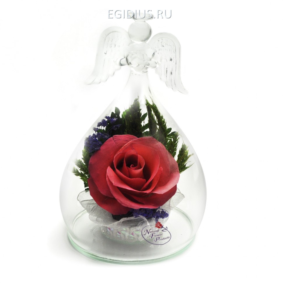 Композиция "Ангел" из натуральных роз (арт. OaSRp) в подарочной упаковке 200-358 фото 1 — Egidius.ru