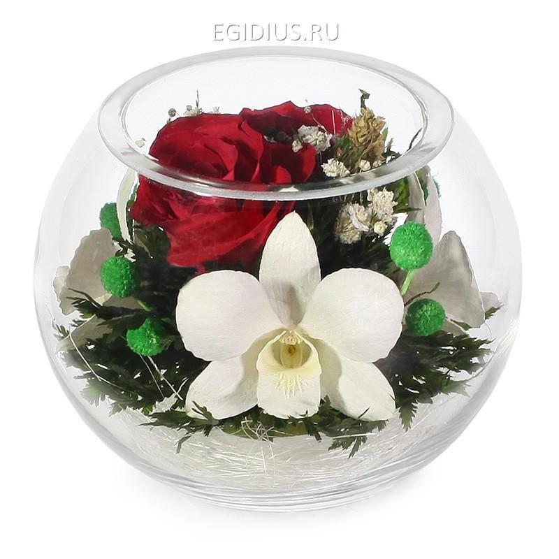 Цветы в стекле: Композиция из роз и орхидей 200-200 фото 1 — Egidius.ru