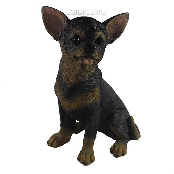 Садовая фигура из полистоуна "Той терьер"(темный)L27W19H38 81-6633 фото 1 — Egidius.ru