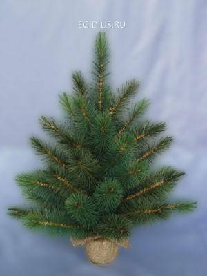 Сосна Роял Орегон мини Н=61см 10-3000-6 — Egidius.ru
