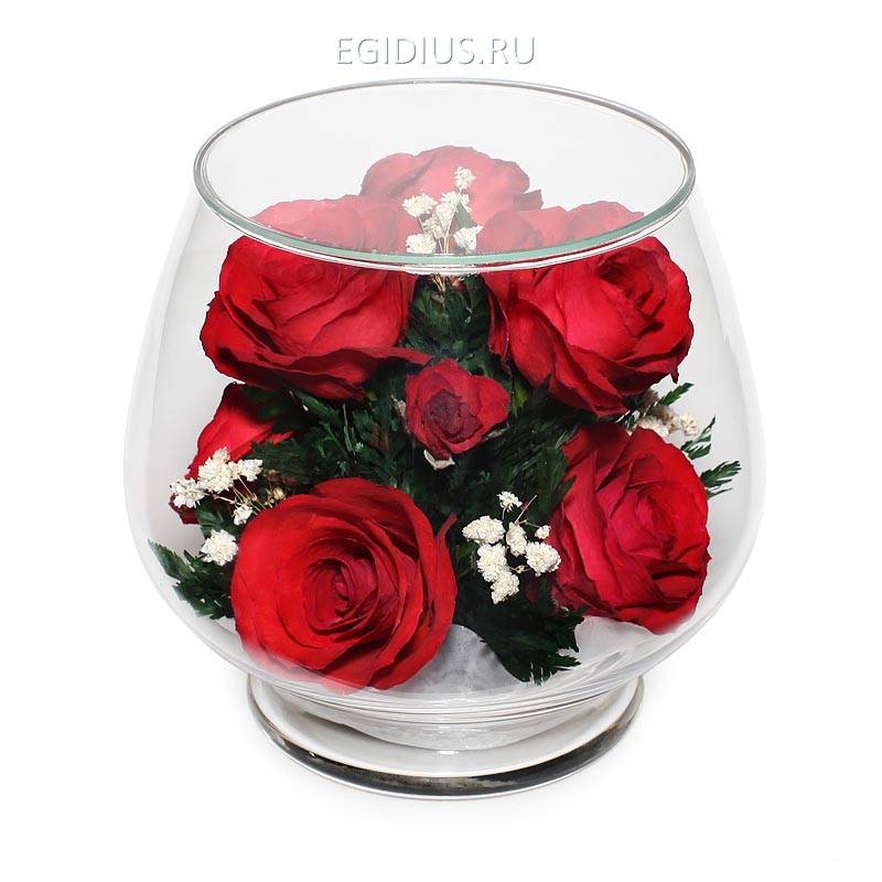 Цветы в стекле: Композиция из красных роз  200-110 фото 1 &mdash; Egidius.ru