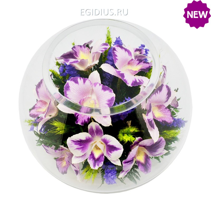 Цветы в стекле: Композиция из натуральных орхидей 200-310 фото 1 &mdash; Egidius.ru