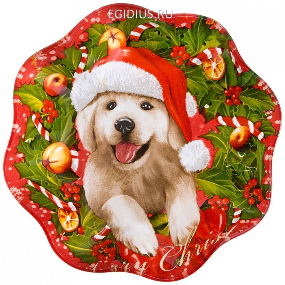 Блюдо "puppy" диаметр=19 см. без упаковки  332-354 фото 1 &mdash; Egidius.ru