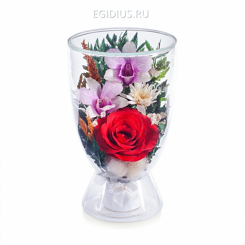 Цветы в стекле: Композиция из роз и орхидей 200-216 фото 1 &mdash; Egidius.ru