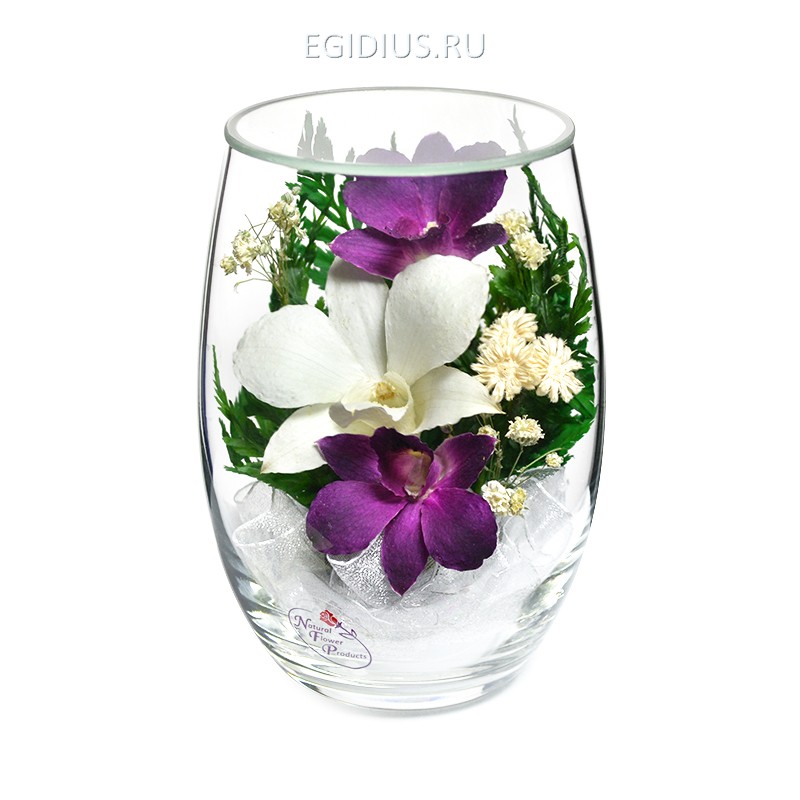 Композиция из натуральных орхидей (арт. RmiO) в подарочной упаковке 200-367 фото 1 &mdash; Egidius.ru