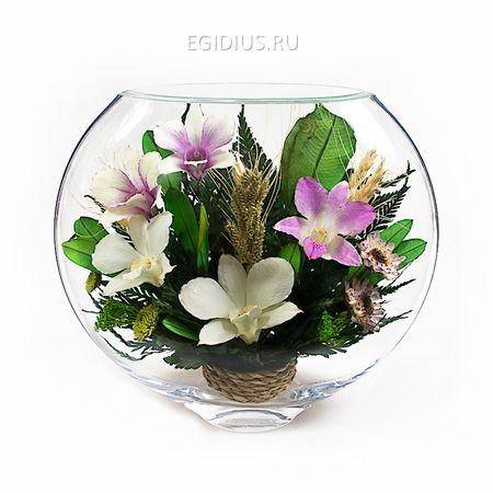 Цветы в стекле: Композиция из натуральных орхидей. 200-043 фото 1 &mdash; Egidius.ru