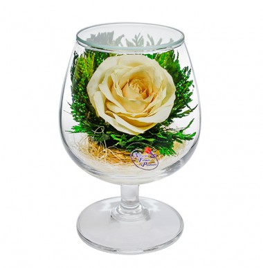 Цветы в стекле: Композиция из белой розы (GSRc) в подарочной упаковке 200-013 — Egidius.ru