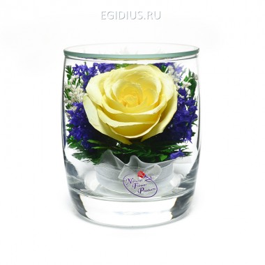 Цветы в стекле:Композиция из натуральных роз (арт. SMRc) в подарочной упаковке 200-371 — Egidius.ru