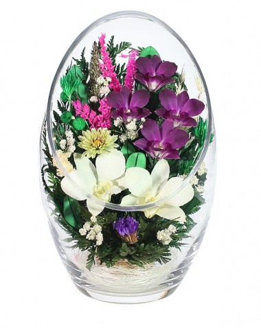 Цветы в стекле: Композиция из натуральных  орхидей (ArMO1) 200-019 — Egidius.ru