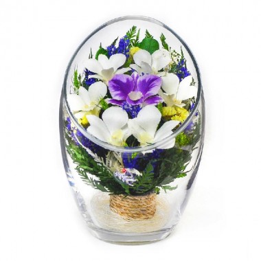 Цветы в стекле: Композиция из натуральных  орхидей (ArMO3) 200-020 — Egidius.ru