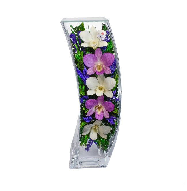 Цветы в стекле: Композиция из орхидей (SqCO3)           200-023 фото 1 — Egidius.ru
