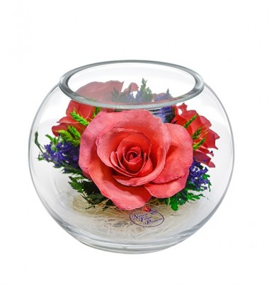 Цветы в стекле: Композиция из розовых роз (арт. BSRp) 200-029 — Egidius.ru