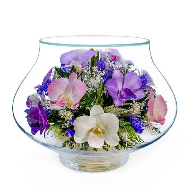 Цветы в стекле: Композиция из натуральных орхидей. 200-052 фото 1 — Egidius.ru
