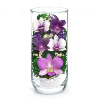 Цветы в стекле: Композиция из орхидей (арт. CSO) в подарочной упаковке 200-032 — Egidius.ru