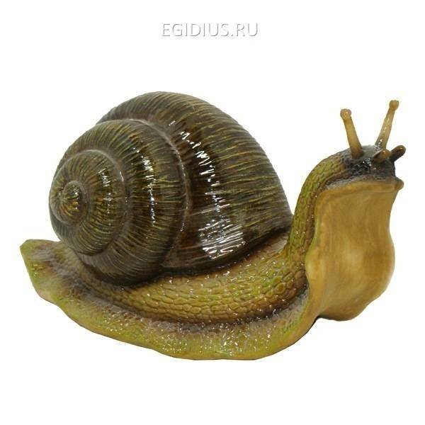 Фигура декоративная садоваяУлитка средняяL27W11,5H16,5см 81-6486 фото 1 &mdash; Egidius.ru