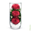 Цветы в стекле: Композиция из красных роз (арт. CSR) в подарочной упаковке 200-033 фото 1 — Egidius.ru