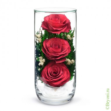 Цветы в стекле: Композиция из красных роз (арт. CSR) в подарочной упаковке 200-033 — Egidius.ru