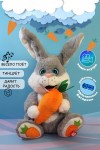 Музыкальная поющая и танцующая мягкая игрушка Заяц символ года 2023 кролик, кот 26 см 280-910 фото 1 &mdash; Egidius.ru