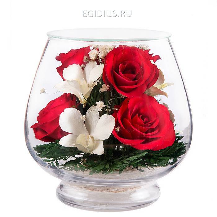 Цветы в стекле: Композиция из красных роз и орхидей 200-120 фото 1 — Egidius.ru