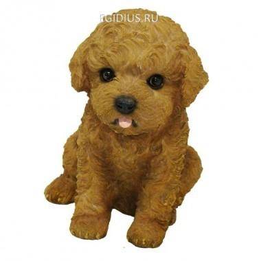 Фигура декоративная садоваяЩенок дразнитсяL24W19H25,5см 81-6487 — Egidius.ru