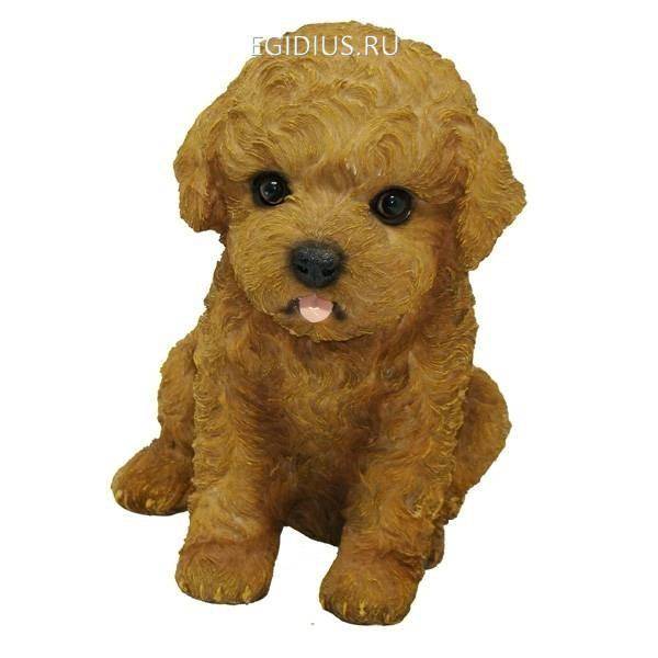 Фигура декоративная садоваяЩенок дразнитсяL24W19H25,5см 81-6487 фото 1 — Egidius.ru