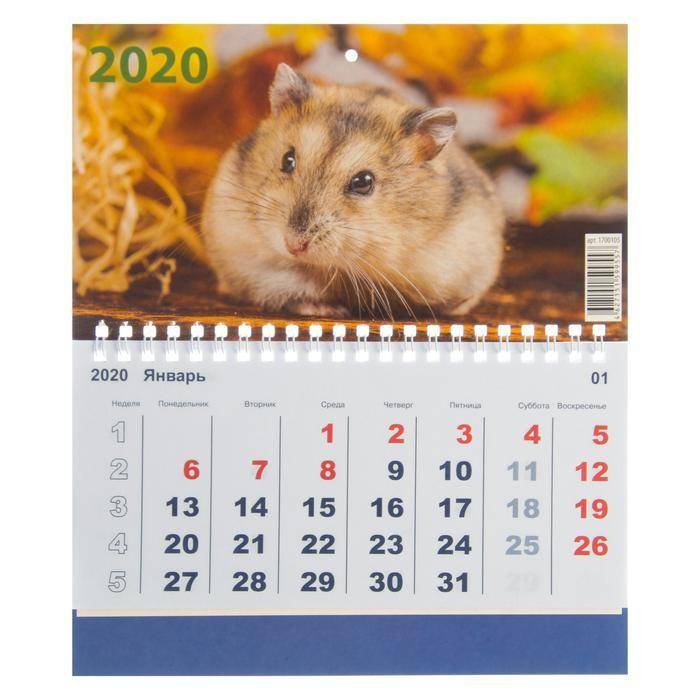 Календарь моно "Символ года-2" 2020 год, 20 х 12 см 813-195 фото 1 — Egidius.ru